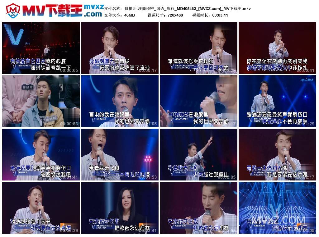 郑棋元-埋葬秘密_国语_流行_MD405462